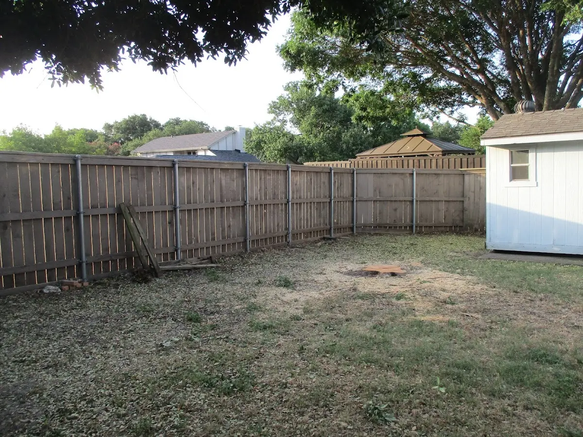 Cleared yard after professional tree removal in Horseshoe Bay
